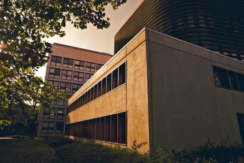 Clínica de Recuperação Casa Branca SP Número de Telefone