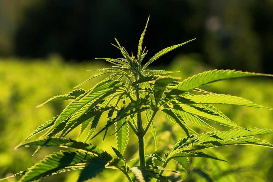 Clínica de Recuperação Esquadrão Resgate em Macatuba SP