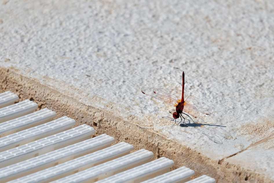 O que é um toxicômano?