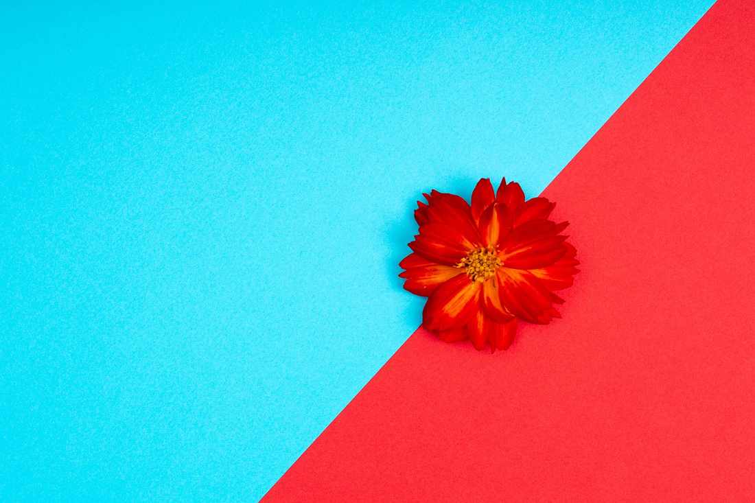 o que é uma clínica de reabilitação para dependentes químicos?